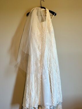 David's Bridal Ivory Lace A-Line Wedding Dress with Veil